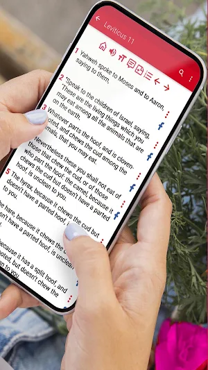 Holy Bible in English Screenshot 1
