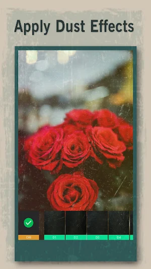 Vintage Camera - Analog Film Filters & Light Leak Screenshot 1