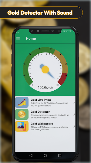 Gold Detector with sound Screenshot 2
