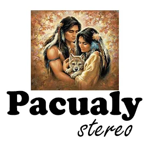 Pacualy Stereo Screenshot 3