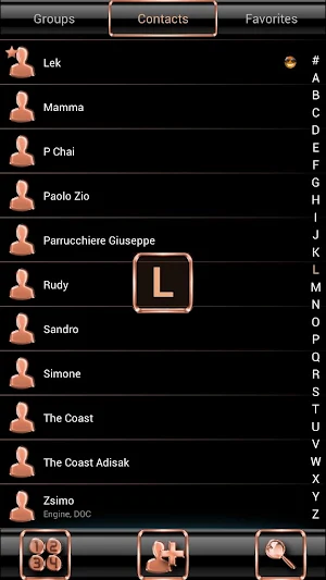Dialer GlassMetalFrameBOrang for Drupe or ExDialer Screenshot 2