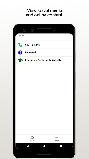 EffinghamCo Schools Screenshot 3
