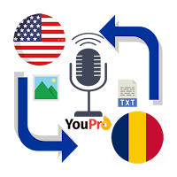 English to Romanian Translator
