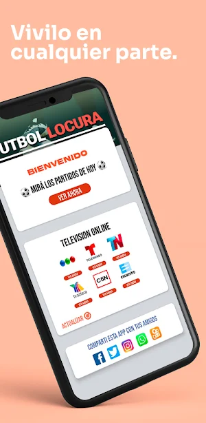 Futbol Locura:Live Score Stats Screenshot 2