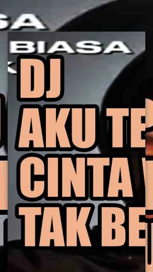 DJ Aku Tetap Cinta Walau Tak Screenshot 1