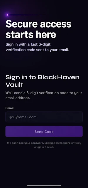 Blackhaven Vault Screenshot 3