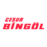 Cesur Bingöl
