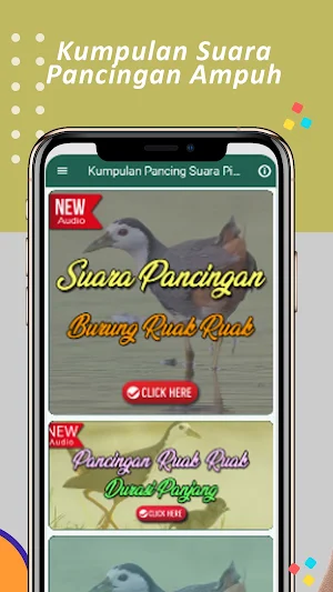 Suara Pikat Ruak Ruak Ampuh Screenshot 2