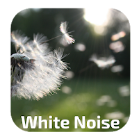 White Noise Wind