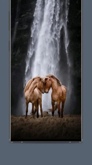 Live horse Wallpaper Screenshot 3