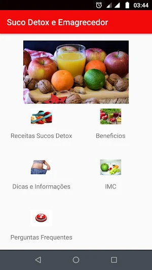 Sucos Detox e Emagrecedor Screenshot 1