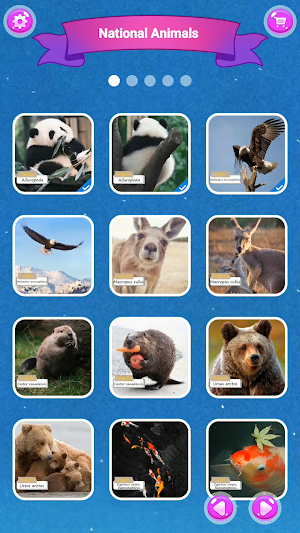 National Animals Puzzle Screenshot 0