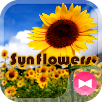 Summer Wallpaper Sunflowers