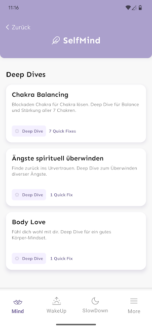 MindApp Screenshot 1