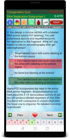Cytogenetics Quiz Screenshot 3