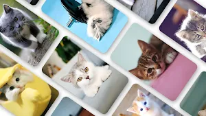 Cat Wallpaper 2023 Screenshot 0