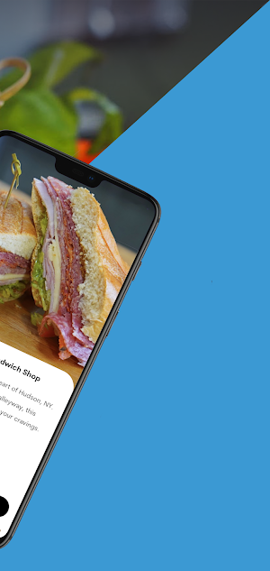 Hudson Sandwich Shop Screenshot 2