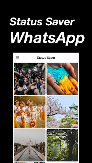 Status Saver for WhatsApp, Save WhatsApp Statuses Screenshot 0