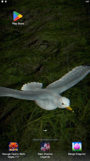 Birds Live Wallpaper Lite Screenshot 3