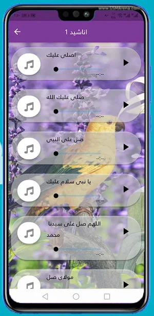 اناشيد الصلاة على النبي Screenshot 2