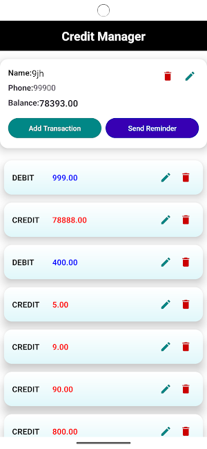 Offline Credit Debit Manager Screenshot 1