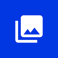 Bulk Photos Videos Downloader