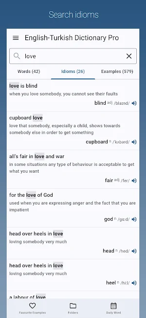 English-Turkish Dictionary Pro Screenshot 2