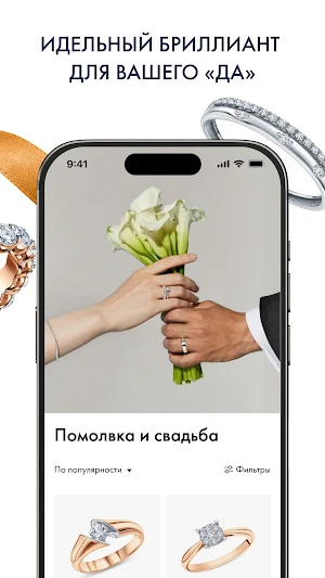 АКАДЕМИЯ БРИЛЛИАНТОВ Screenshot 2