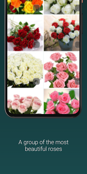 Mother's Day Flowers Screenshot 3