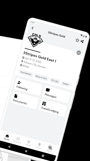 3Stripes Gold Screenshot 1