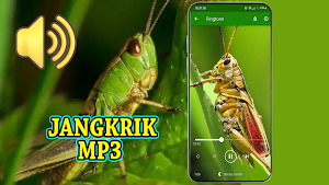 Suara Jangkrik Mp3 Offline Screenshot 1