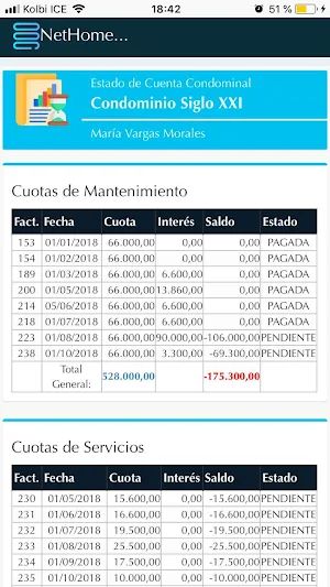 NetHome Screenshot 2