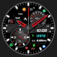 FSW288 Analog,Classic
