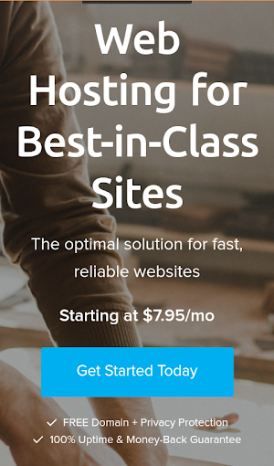 Web Hosting Screenshot 1