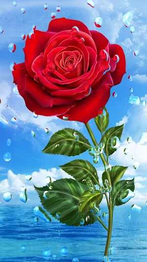 Flowers Images GIF Roses Screenshot 0