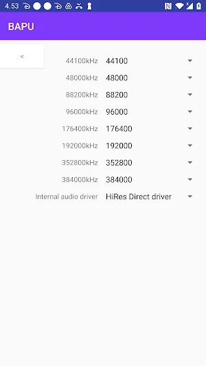 BAPU Screenshot 2