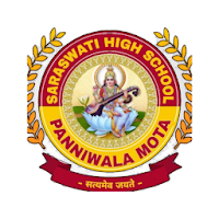 Saraswati High School Panniwala Mota