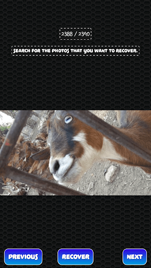 Deleted Photo Recovery Screenshot 1