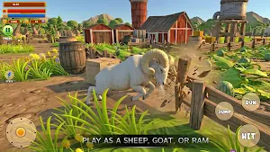 Sheep Fun Animal games Screenshot 0
