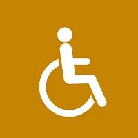 Discapacidad Perú