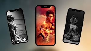 Fighters Wallpaper Screenshot 2