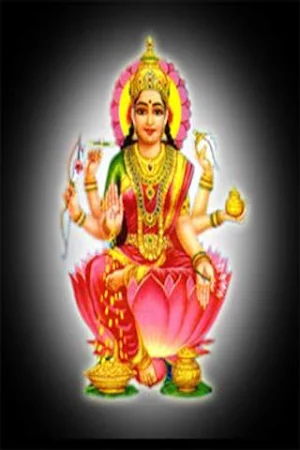Dhana Lakshmi Stotram Screenshot 0