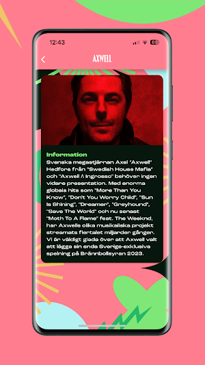 Brännbollsyran Screenshot 3