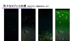 Daphnia Simulator：光センサーでミジンコ育成 Screenshot 3