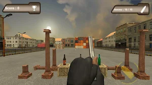 Target Bottle Shooter Screenshot 2