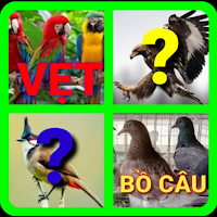 đoán tên các loài chim