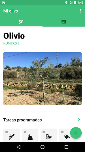 Mi Olivo 2.0 Screenshot 1
