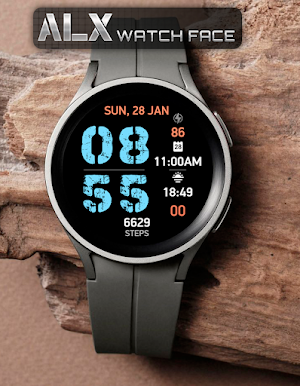 ALX22 LCD Watch Face Screenshot 3