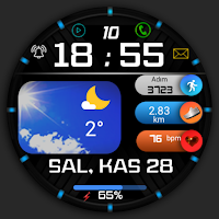 FSW248 digital Watchface