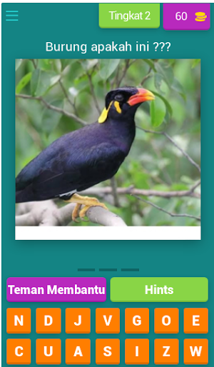 Tebak gambar nama burung Screenshot 2
